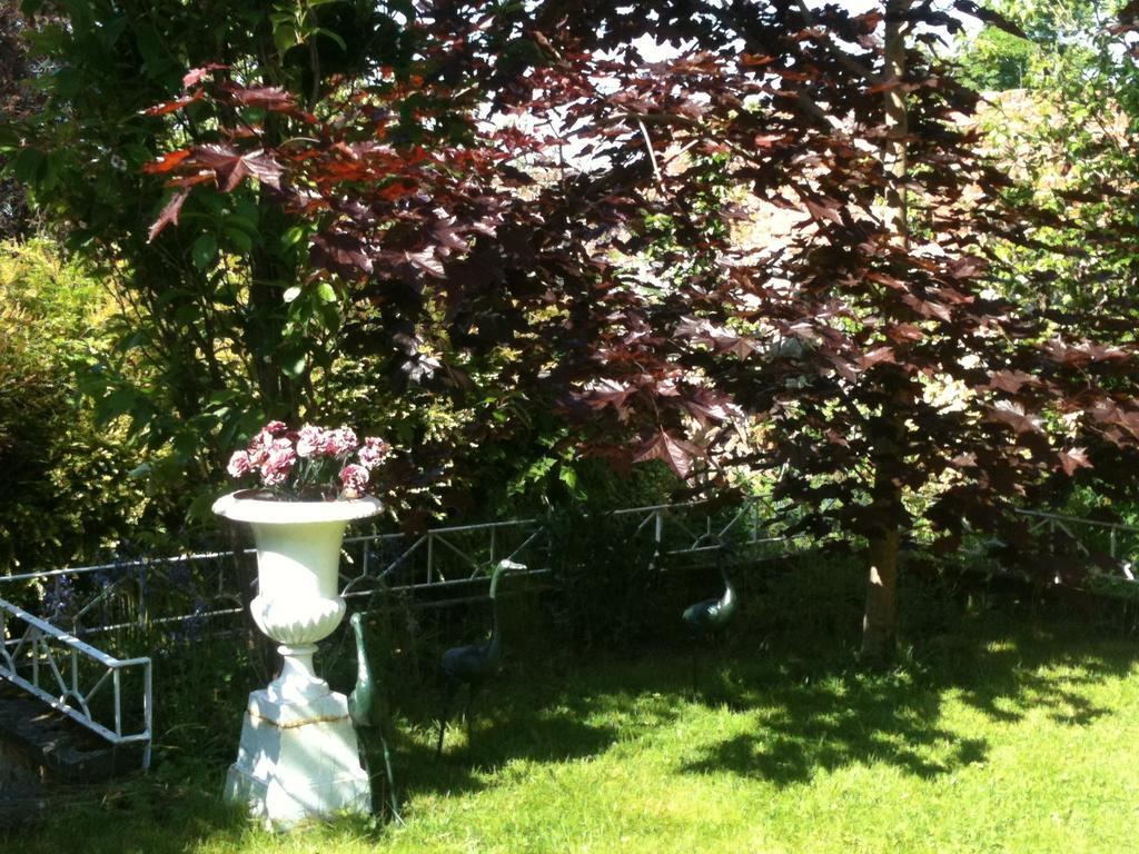 Charlemont House Moy Bed and Breakfast Eksteriør billede
